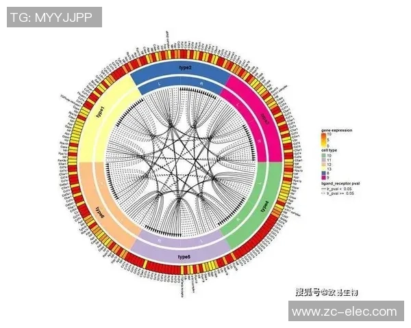 深入探讨IG在数据分析中的实力表现与未来发展潜力