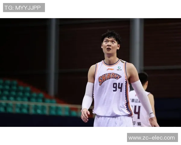 王哲林：从篮球新星到国家队核心的成长之路与未来展望